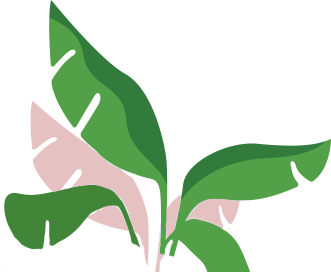 Angular mobile apps